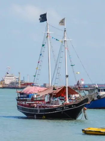 2022-03-03-Perola-Negra-Escuna-3-4_edited-tiny-350x467